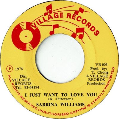 I JUST WANT TO LOVE YOU (VG+) / VERSION (VG+/WOL)