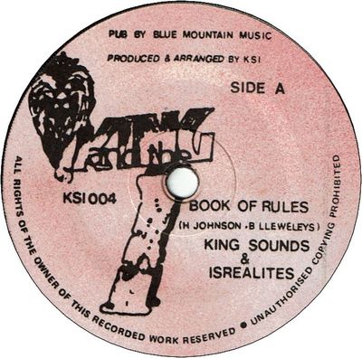 BOOK OF RULES (VG+) / YOU ARE MY PILOT