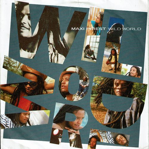 WILD WORLD(VG+) / ON AND ON(VG+)