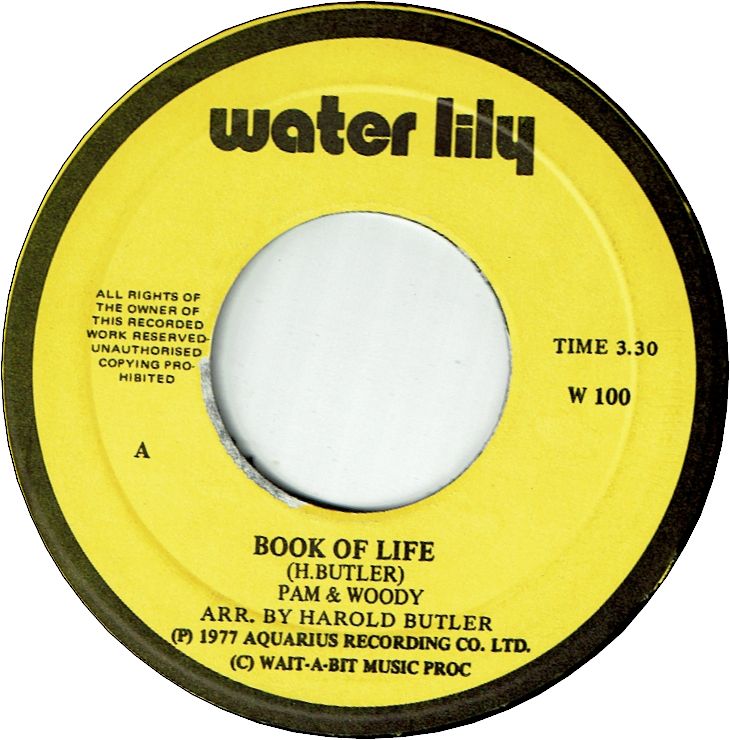 BOOK OF LIFE (VG+) / BOOK OF LIFE (VG+)