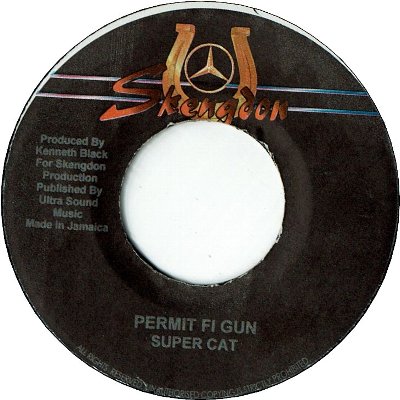 PERMIT FI GUN (VG-) / Anti Crack Version