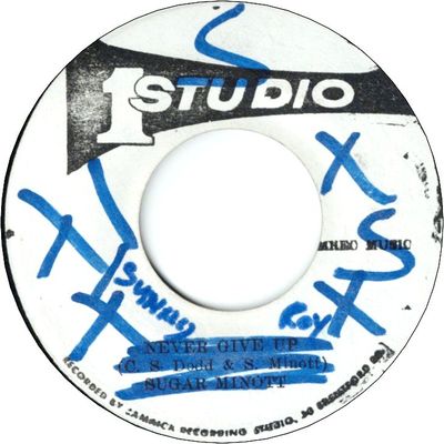 NEVER GIVE UP (VG+/WOL)　/VERSION(VG+)