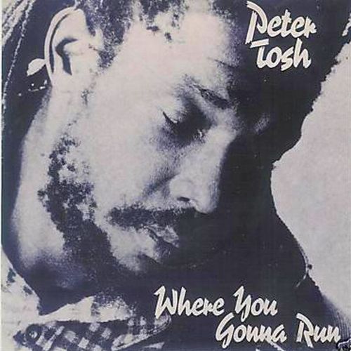 WHERE YOU GONNA RUN (VG+) / STOP THAT TRAIN (VG+)