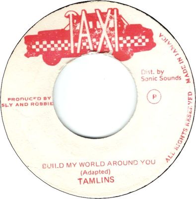 BUILD MY WORLD AROUND YOU　(VG+)