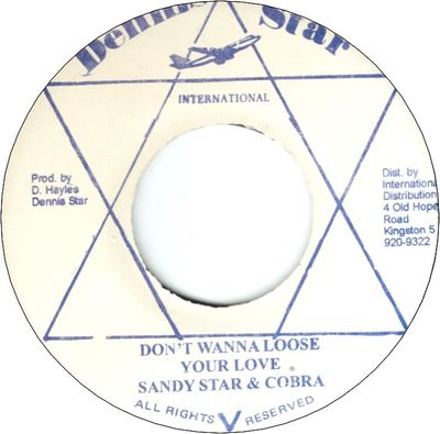 DON'T WANNA LOOSED YOUR LOVE (VG+)