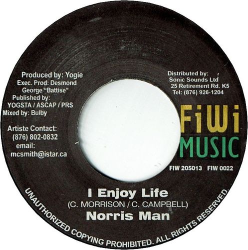 I ENJOY LIFE (VG+) / WHAT A WOMAN (VG+)