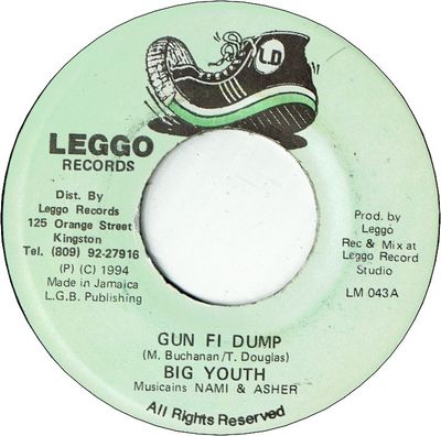GUN FI DUMP (VG+) / HARD FI BURN