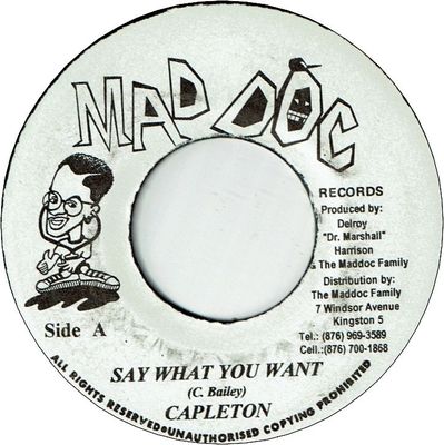 SAY WHAT YOU WANT (VG+9