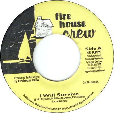 I WILL SURVIVE (VG+) / FIRE NEVER CEASE 8VG+9