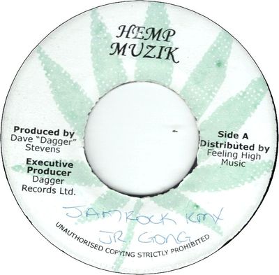 JAMROCK REMIX (VG+)