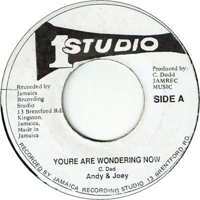 YOURE ARE WONDERING NOW (VG) / VERSION (VG to VG-)