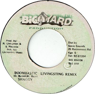 BOOMBASTIC (Livingsting Remix)(VG+)
