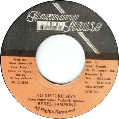 NO DISTURB SIGN / Remix