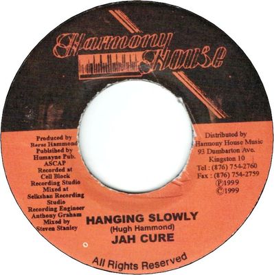 HANGING SLOWLY (VG+)