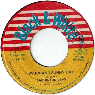 WARM AND SUNNY DAY (VG+) / SUNNY STYLE (VG)