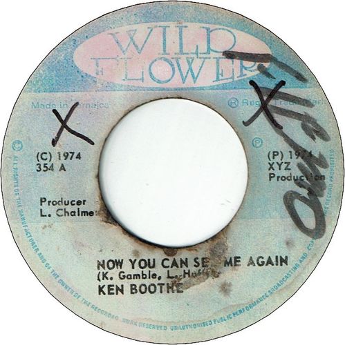 NOW YOU CAN SEE ME AGAIN (VG+/WOL) / SEE AGAIN (VG/WOL)