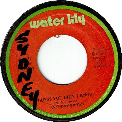 GUESS YOU DIDN'T KNOW (VG+/WOL) / REGGAE FUNKYFIED (VG+/WOL)
