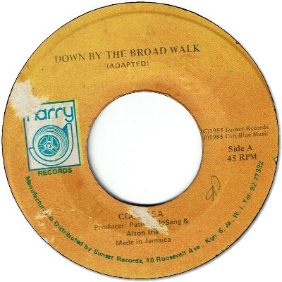 DOWN BY THE BROAD WALK (VG+) / VERSION (VG-)