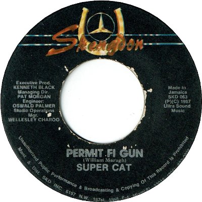 PERMIT FI GUN (VG) / VERSION (VG-)