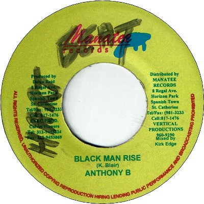 BLACK MAN RISE (VG+/WOL)
