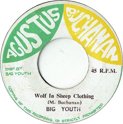 WOLF IN SHEEP CLOTHING (VG+) / VERSION (VG+)