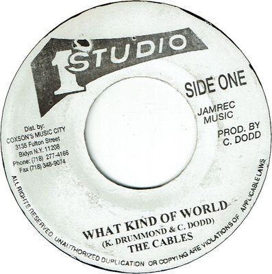 WHAT KIND OF WORLD (VG+) / PEACE AND LOVE (VG+)