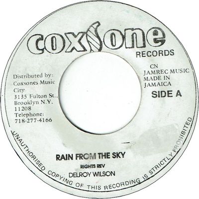 RAIN FROM THE SKY(VG+) / HOW CAN I LOVE SOMEONE (VG+/WOL)