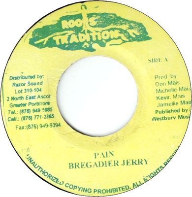 PAIN (VG+) / VERSION (VG+)