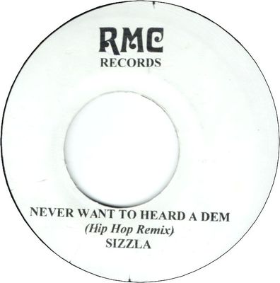 NEVER WANT TO HEARD A DEM(Hip Hop Remix)