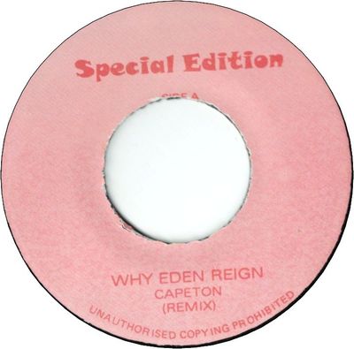 WHY EDEN REIGN  Remix(VG+)