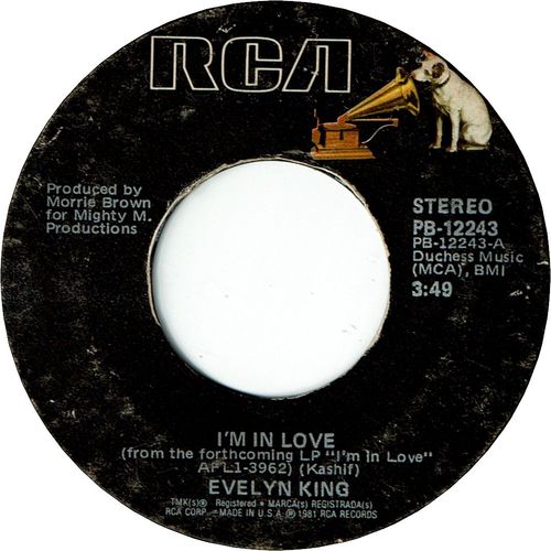 I'M IN LOVE (VG) / THE OTHER SIDE OF LOVE
