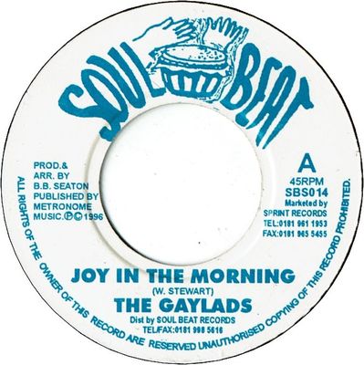 JOY IN THE MORNING (VG+) / SHE WANT IT (VG+)