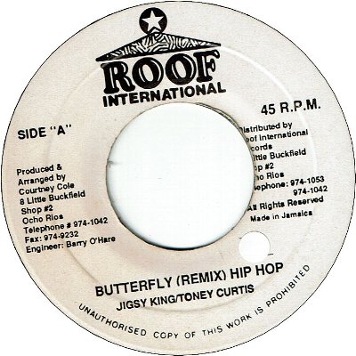 BUTTERFLY Hip Hop Remix(VG+/Seal)