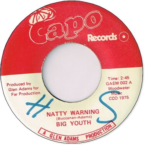 NATTY WARNING (VG+/WOL) / TURN AROUND (VG+)