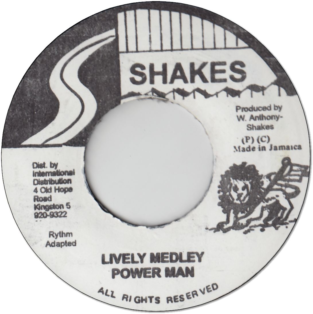 LIVELY MEDLEY (VG+) / Version