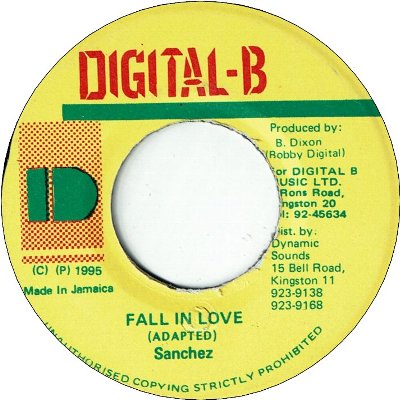 FALL IN LOVE (VG)